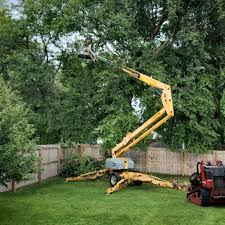 Best Pest Control for Lawns  in Lomita, CA